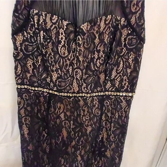 BRAND NEW ENFOCUS LACE BLACK &TAN SLEEVELESS ROUND NECKLINE DRESS - Picture 2 of 10